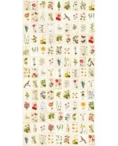 Afbeelding van PIP STUDIO 3 341086 Afbeelding van PIP STUDIO 3 341086