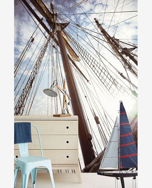 Toon details van WALLPOWER JUNIOR 364142 Afbeelding van WALLPOWER JUNIOR 364142