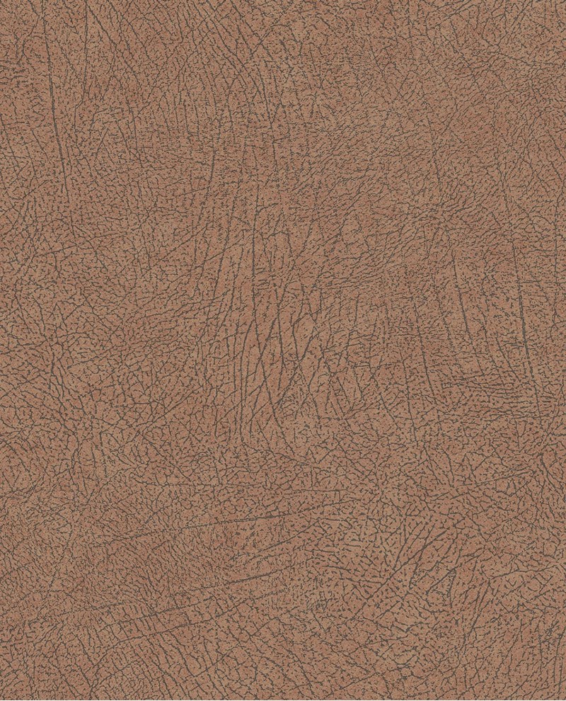 Afbeelding van SKIN 300513