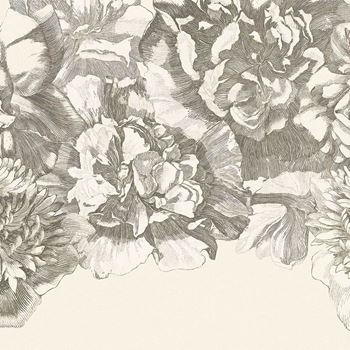 Line drawings Line drawings