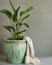 Image de NATURAL WALLCOVERINGS 3 303520 Picture of NATURAL WALLCOVERINGS 3 303520