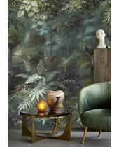 Image de OASIS 317409 Picture of OASIS 317409