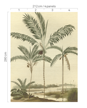 Picture of OASIS 317406 Picture of OASIS 317406