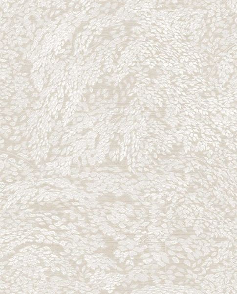 Picture of MAGNIFIQUE 351270