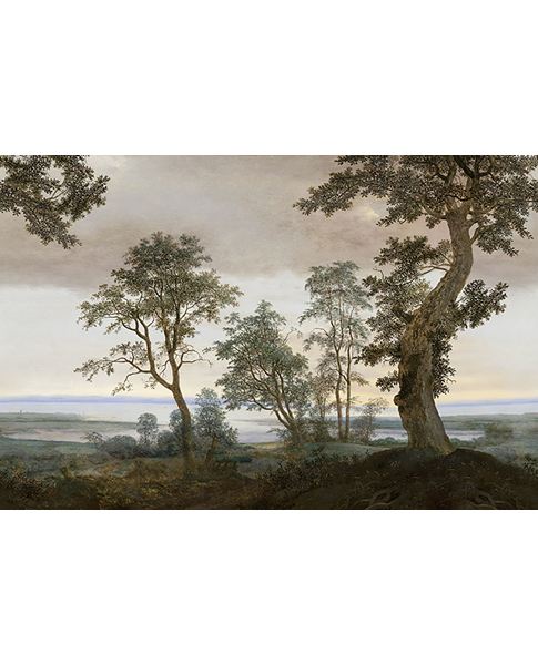 Afbeelding van MAGNIFIQUE 351290