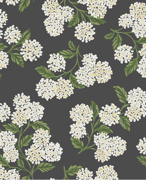 Picture of RIFLE PAPER CO. RI5146